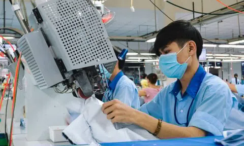 Công ty dệt may TP.HCM vẫn trắng đơn hàng, 6 tháng không thu nổi 1 tỷ