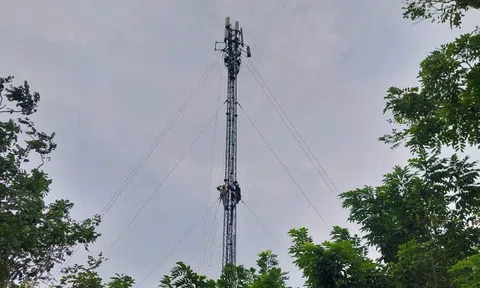 Viettel huy động tổng lực phòng chống bão số 5