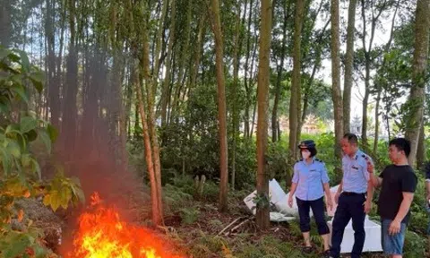 Phạt cơ sở kinh doanh gần 1,5 tạ thực phẩm đông lạnh không rõ nguồn gốc