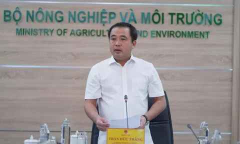 Philippines, Indonesia tạm dừng nhập khẩu gạo: "Người dân không cần lo chuyện bán lúa"