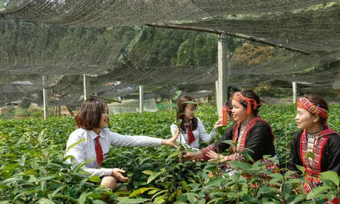 Agribank đầu tư nguồn lực thúc đẩy tài chính toàn diện, xây dựng nông thôn mới