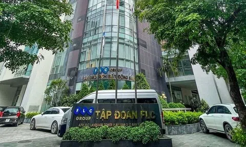 Kế toán trưởng từ nhiệm, FLC bổ nhiệm người mới sát thời điểm tổ chức ĐHĐCĐ bất thường