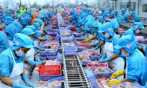 Ngành thủy sản Việt Nam đang "để trống sân nhà”