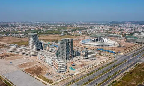 Hải Phòng dừng chuyển đổi mục đích đất ở với hộ gia đình, cá nhân