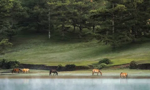 Savills: Đà Lạt hội tụ nhiều điều kiện trở thành điểm đến của giới siêu giàu