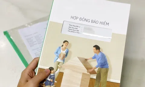 Các công ty bảo hiểm nhân thọ lớn nhất Việt Nam làm ăn ra sao?