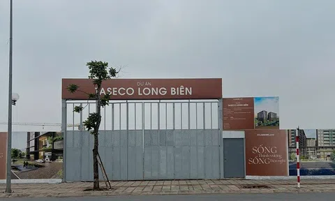 Taseco Land có gì khiến nhà đầu tư ngoại xuống tiền?