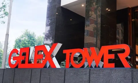 Gelex sắp IPO mảng hạ tầng