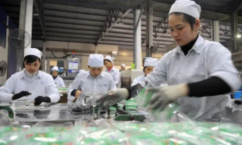 Từ 1/7, thay đổi mã số thuế cá nhân, sàn TMĐT nộp thuế thay người bán