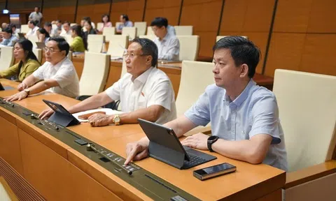 Công ty con không được hưởng thuế ưu đãi thu nhập doanh nghiệp