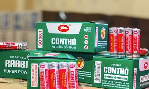 Chủ thương hiệu Pin con thỏ bổ nhiệm Chủ tịch HĐQT mới