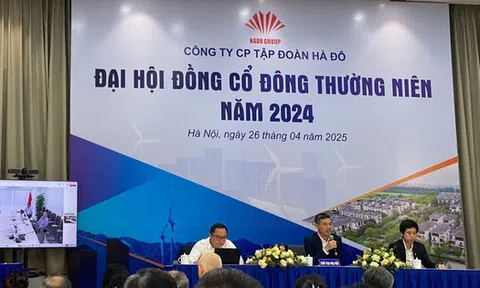 ĐHĐCĐ Hà Đô: Đặt mục tiêu lợi nhuận 2025 tăng hơn gấp đôi, quyết tâm vượt khó bằng chiến lược M&A mở rộng quy mô