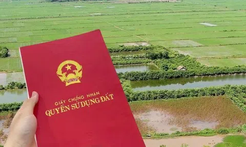 Vì sao phải đề xuất tăng giá đất nông nghiệp bằng 60-70% đất thổ cư?