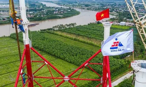 Sông Đà 11 ‘ế’ gần 2,3 triệu cổ phiếu trong đợt chào bán cho cổ đông