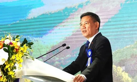 Phát triển VINAFOR trở thành tập đoàn lâm nghiệp quy mô lớn