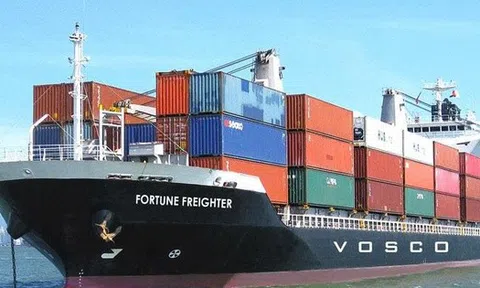 Cổ đông của Vosco sắp được nhận cổ tức sau 14 năm