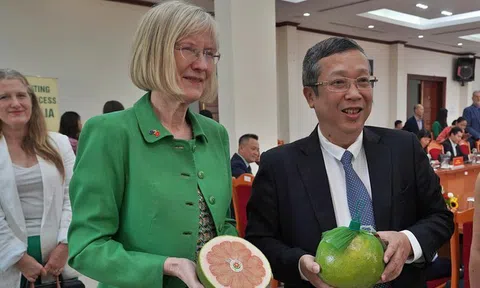 Lần đầu tiên, trái bưởi Việt Nam xuất khẩu sang Úc