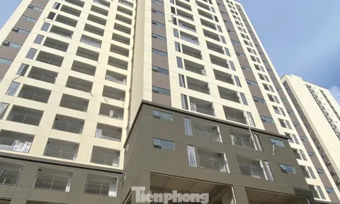 Dự án nhà ở xã hội bị siết tiến độ đang thi công tới đâu?