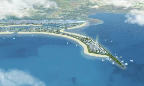 Diễn biến mới tại 'siêu đô thị' lấn biển Cần Giờ