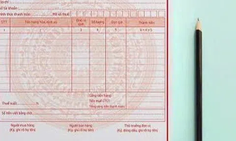 Bất thường tại lò mổ nhỏ lẻ xuất hóa đơn khống cho Công ty C.P. Việt Nam