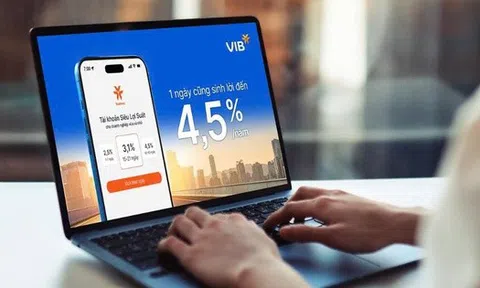 Nhiều doanh nghiệp Việt lựa chọn giải pháp sinh lời của VIB cho dòng vốn ngắn hạn