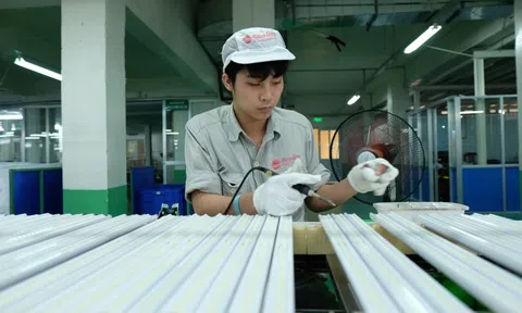 Rạng Đông dự kiến hụt hàng trăm tỷ doanh thu khi đại lý bỏ thuế khoán