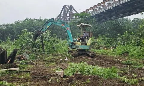 Hà Nội: Xử lý 31 vụ vi phạm pháp luật về đê điều