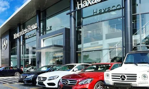 Lãnh đạo Haxaco muốn ‘xả hàng’ 1,6 triệu cổ phiếu HAX