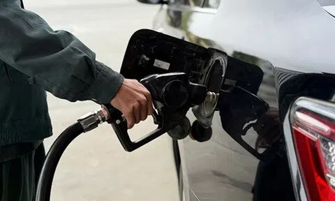 Giá xăng dầu đồng loạt giảm mạnh