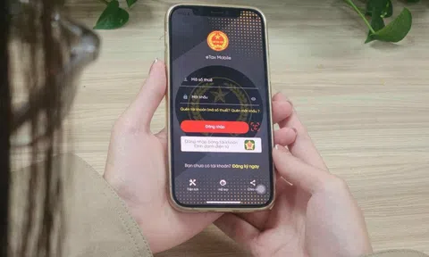 Tạm dừng các ứng dụng thuế điện tử trong 2 ngày