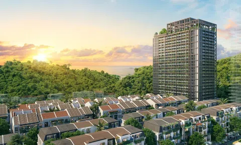 Dự án Sun Group tâm điểm thị trường căn hộ cho thuê tại trung tâm Cát Bà