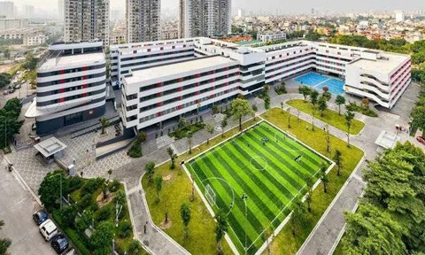 Nhà sáng lập Hệ thống Giáo dục Ngôi Sao bị tố 'rút ruột' công ty