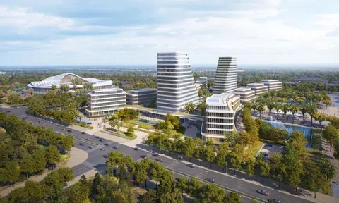 Lợi thế từ chuỗi giải pháp kính toàn diện