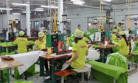 Đoạn kết buồn của Nhựa Rạng Đông