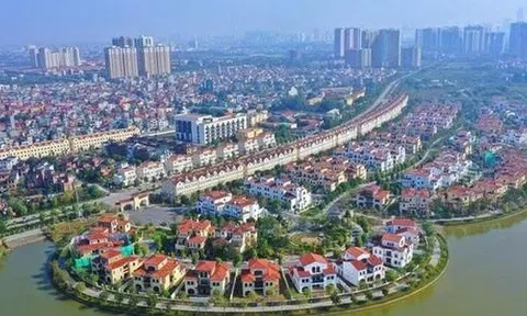 SJ Group nói gì về việc cổ phiếu tăng trần 5 phiên liên tiếp?