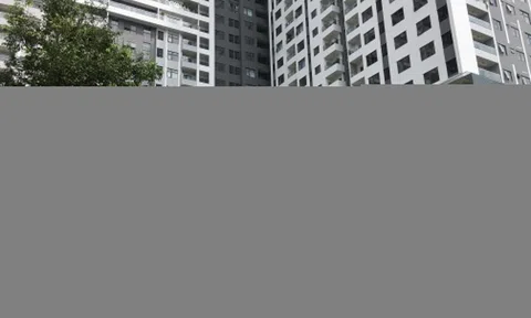 Chốt lời cổ phiếu Vinhomes, một công ty bất động sản báo lãi đậm