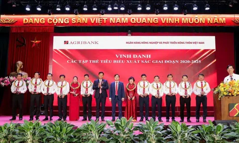 Đảng bộ Agribank: Nòng cốt vững chắc, dẫn dắt chuyển mình toàn hệ thống