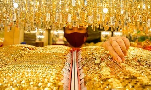 Liệu năm 2025 có phải là “năm vàng” cho các nhà đầu tư?