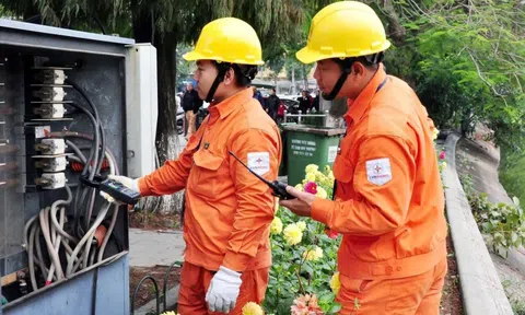 EVN Hanoi và EVN HCMC lỗ tổng cộng gần 700 tỷ trong nửa đầu năm