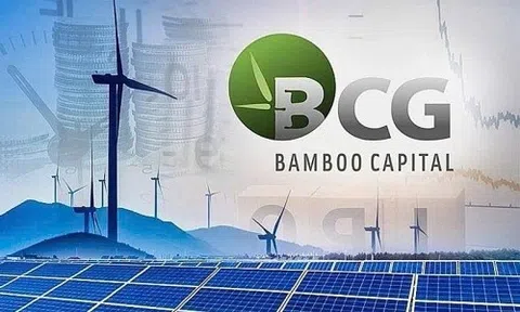 Bamboo Capital và Tracodi xin lỗi cổ đông