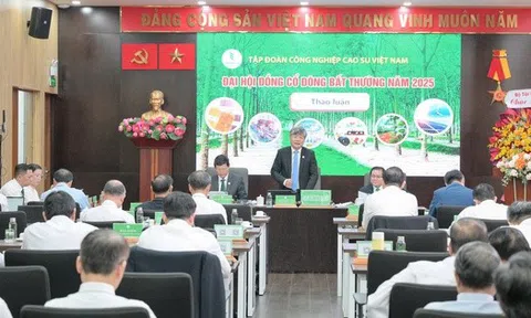 VRG chuẩn bị 1.600 tỉ đồng chia cổ tức