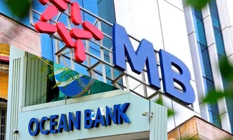 MB hé lộ tình hình tài chính của OceanBank