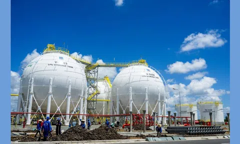 Số nhân viên nam nghỉ thai sản tại PV Gas gấp gần 5 lần nhân viên nữ trong năm 2024