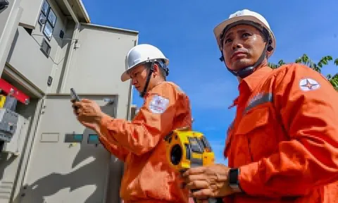 Thị trường điện đang vận hành thế nào