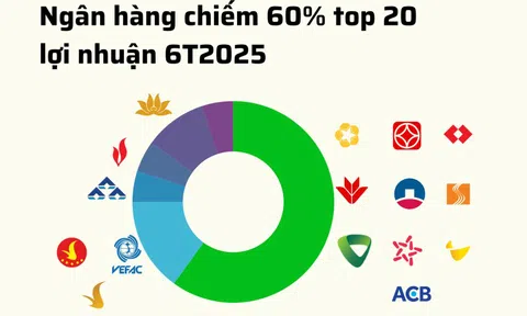 20 doanh nghiệp niêm yết lãi lớn nhất 6T2025: 60% là ngân hàng, 15% là bất động sản, chỉ có 1 DN sản xuất