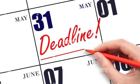 Cập nhật BCTC chiều ngày 31/7: Vingroup, Hòa Phát, Đất Xanh... công bố, Vietnam Airlines, Coteccons báo lãi trước thuế tăng bằng lần