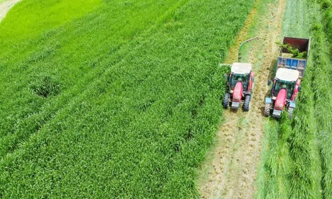 Vinamilk "Mở khóa tự nhiên" tại Green Farm: Mô hình sinh thái truyền cảm hứng đến cộng đồng doanh nghiệp