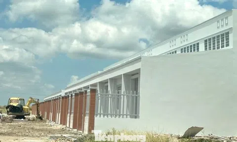 Mở bán 250 căn nhà ở xã hội dạng liền kề, giá hơn 14 triệu đồng/m2