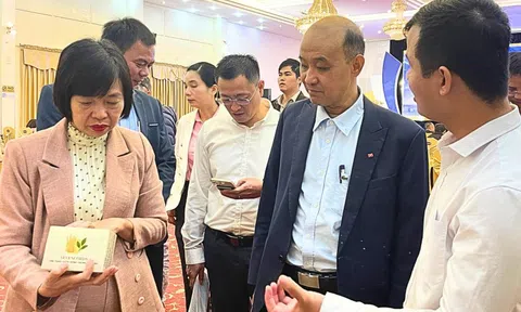 Startup Đà Nẵng đông, nhưng mạnh thì chưa nhiều