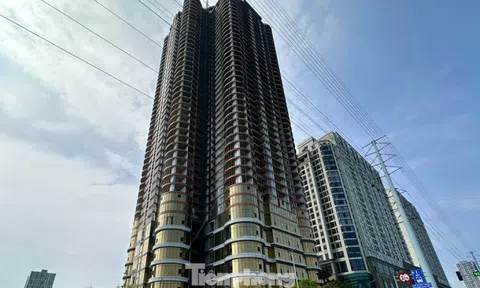 Giá chung cư Hà Nội sẽ giảm từ năm 2026?